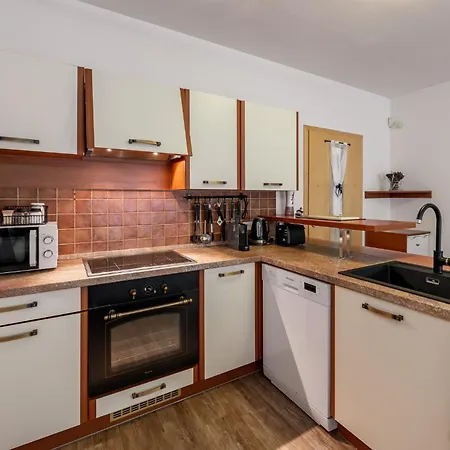 Verzuz - Ricky V Orlickych Horach Apartment